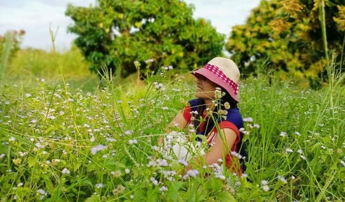 211 / 365 នៃមេរៀនជីវិតរីករាយ